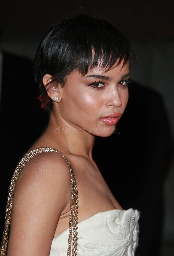 Zoe Kravitz at the Vanity Fair Party for the 2008 Tribeca Film Festival ...