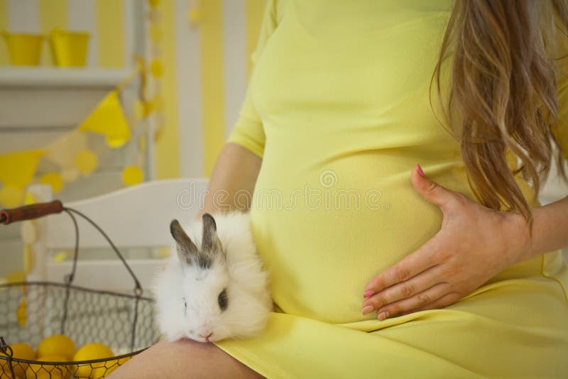 Zoete mooie zwangere vrouw met konijnpaashaas royalty-vrije stock afbeeldingen Zoete mooie zwangere vrouw met konijnpaashaas royalty-vrije stock afbeeldingen