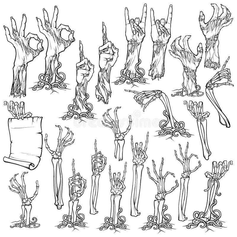 Skeleton Rising Stock Illustrations 91 Skeleton Rising Stock Illustrations Vectors Clipart Dreamstime