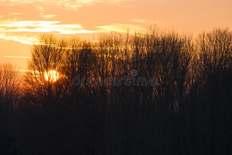 Zon achter bomen wordt geplaatst die royalty-vrije stock afbeelding Zon achter bomen wordt geplaatst die royalty-vrije stock afbeelding