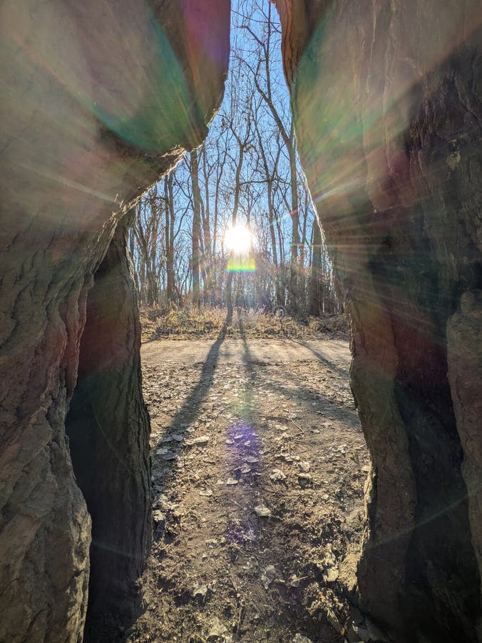 Zon Vanuit de Binnenkant van een Grote Boom stock afbeeldingen