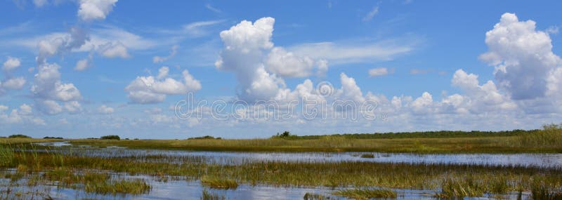 Zona umida di Florida Parco nazionale dei terreni paludosi in Florida, U.S.A. fotografie stock Zona umida di Florida Parco nazionale dei terreni paludosi in Florida, U.S.A. fotografie stock