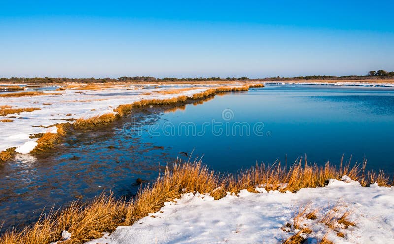 Zona umida innevata alla spiaggia nazionale dell'isola di Assateague, marzo fotografia stock libera da diritti Zona umida innevata alla spiaggia nazionale dell'isola di Assateague, marzo fotografia stock libera da diritti