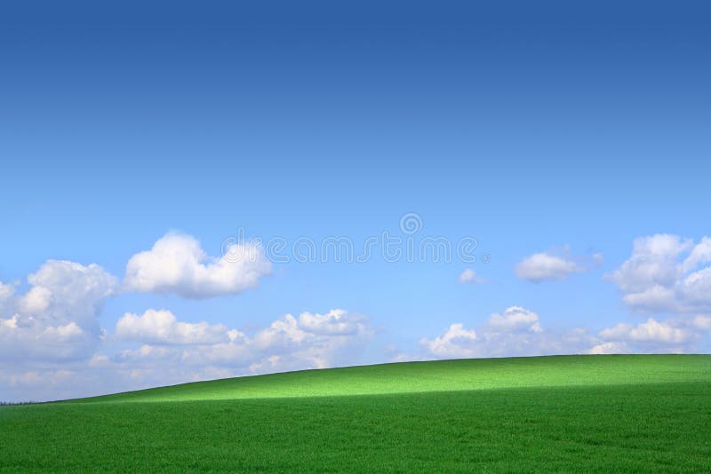 Zone verte avec un fond du ciel bleu et