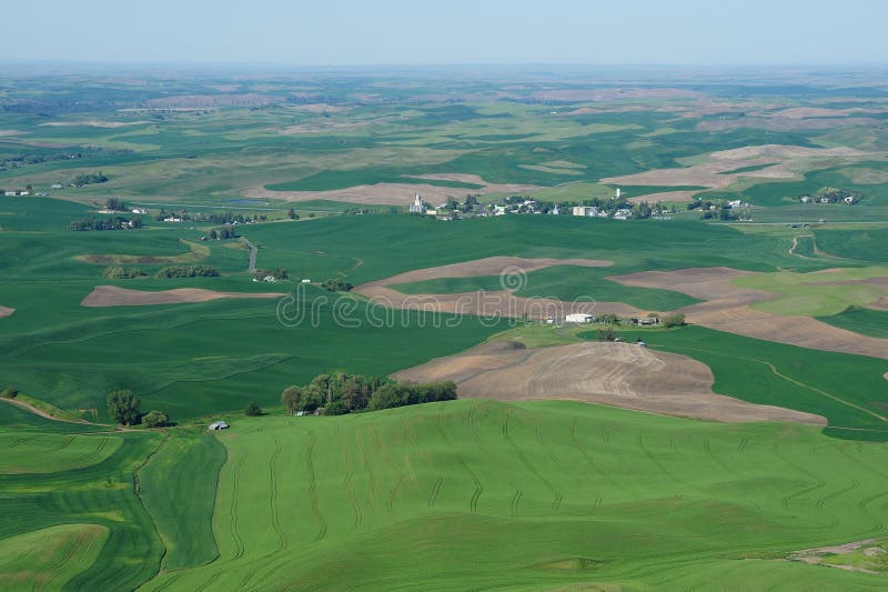 Zones de blé de Palouse photo stock Zones de blé de Palouse photo stock