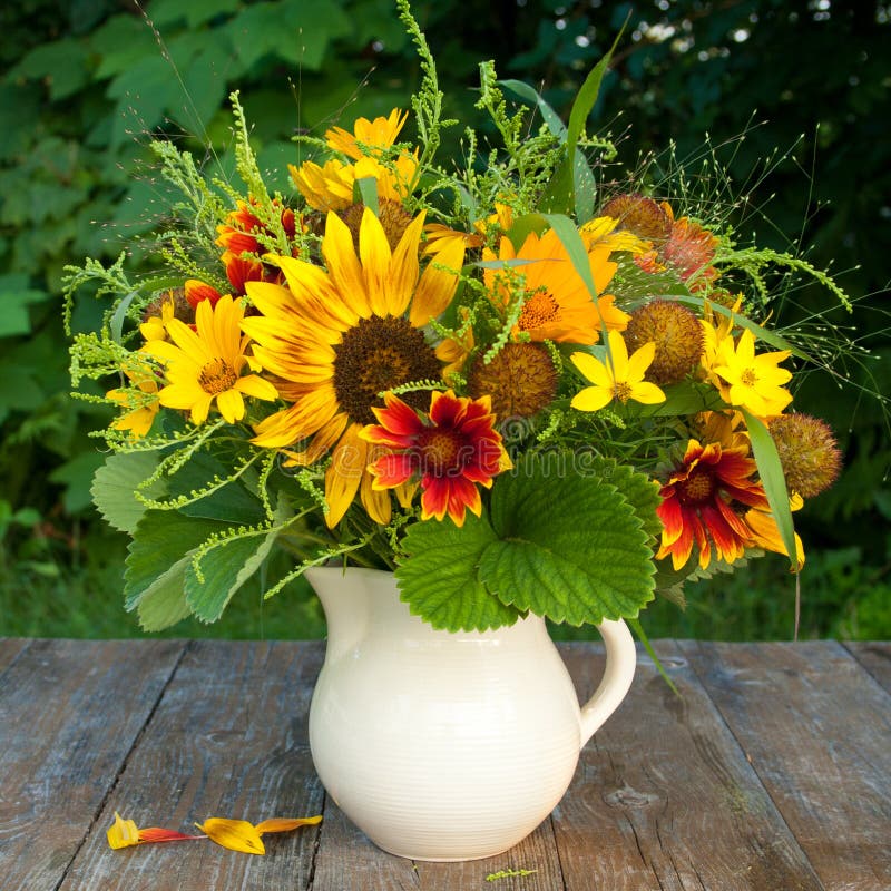 Zonnebloemen stock foto's