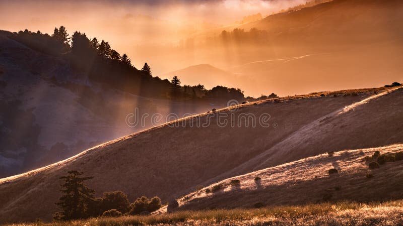 Zonnebrand met zonnestralen voor heuvels en valleien in de santa cruz - bergen in de francisco baai in california