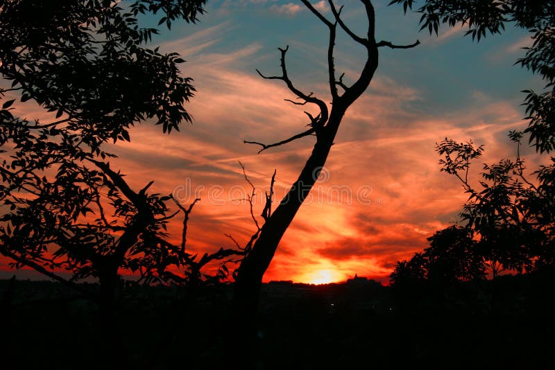 Zonsondergang 1 stock afbeeldingen Zonsondergang 1 stock afbeeldingen
