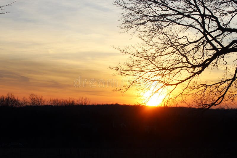 Zonsondergang bij de winter over een gebied van het wijngaardlandbouwbedrijf stock afbeelding Zonsondergang bij de winter over een gebied van het wijngaardlandbouwbedrijf stock afbeelding