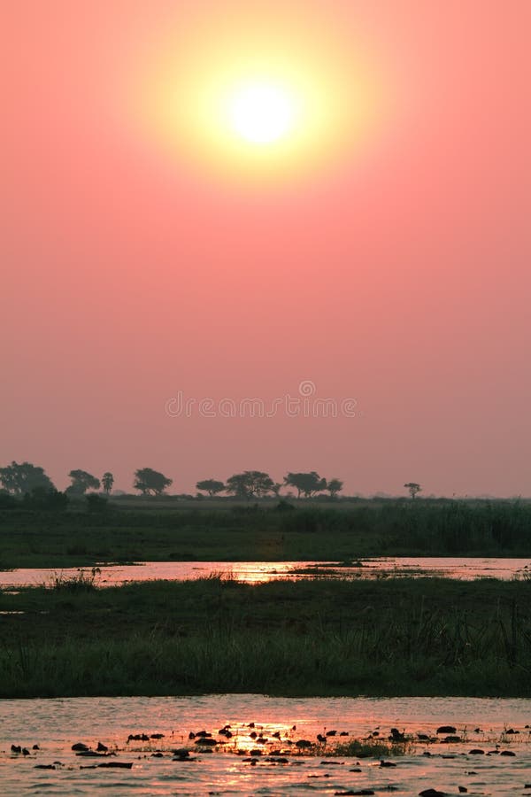 Download Zonsondergang In Chobe Riverfront Van Een Boot Stock Foto - Afbeelding bestaande uit blauw, summer: 39111254