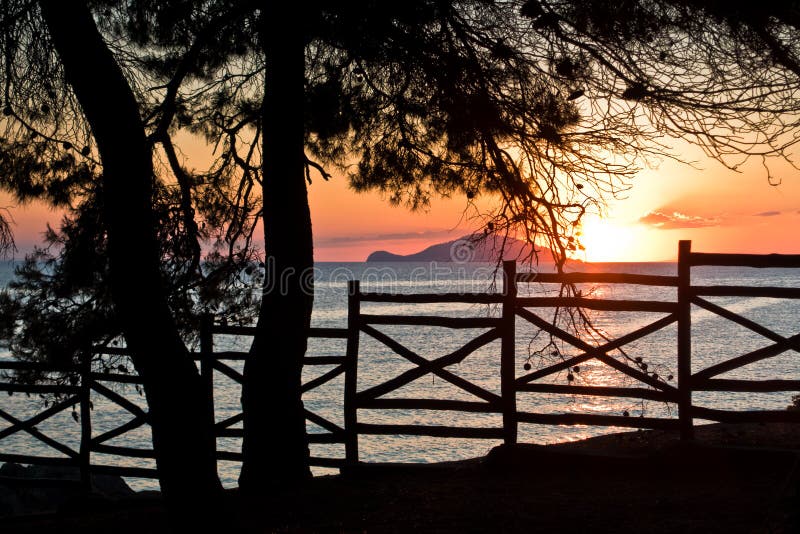 Zonsondergang door houten omheining onder pijnboombomen in Sithonia royalty-vrije stock afbeeldingen Zonsondergang door houten omheining onder pijnboombomen in Sithonia royalty-vrije stock afbeeldingen