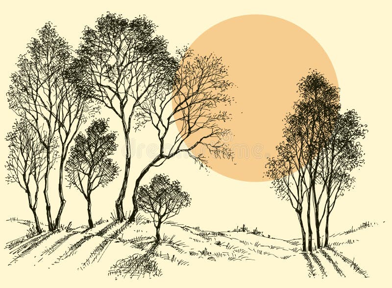 Zonsondergang in het bos royalty-vrije illustratie Zonsondergang in het bos royalty-vrije illustratie