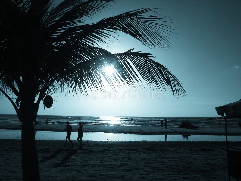 Zonsondergang met Palm royalty-vrije stock fotografie Zonsondergang met Palm royalty-vrije stock fotografie