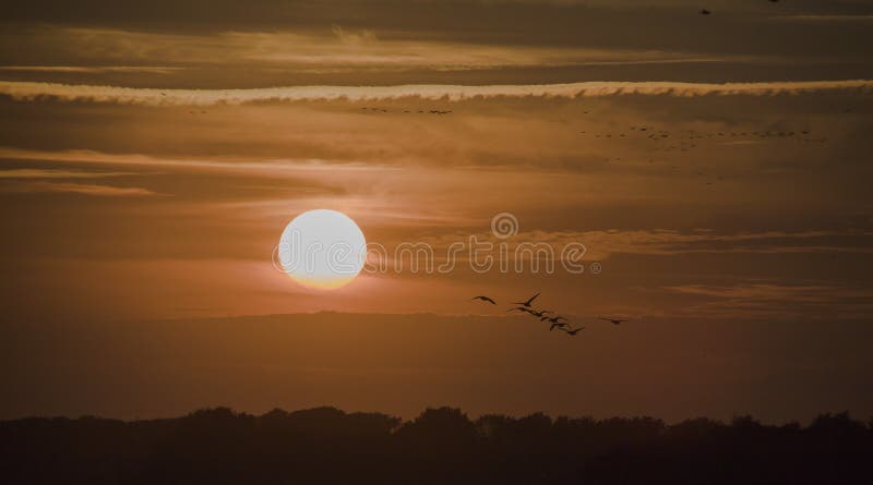 Zonsondergang met vogelmigratie royalty-vrije stock fotografie Zonsondergang met vogelmigratie royalty-vrije stock fotografie