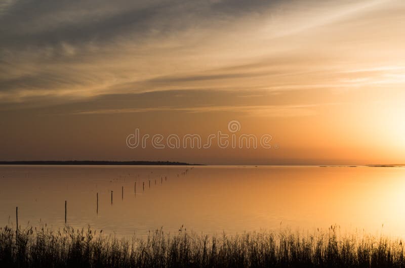 Zonsondergang op de Lagune met de zon door het riet en de stormlopen wordt gezien die royalty-vrije stock foto's Zonsondergang op de Lagune met de zon door het riet en de stormlopen wordt gezien die royalty-vrije stock foto's