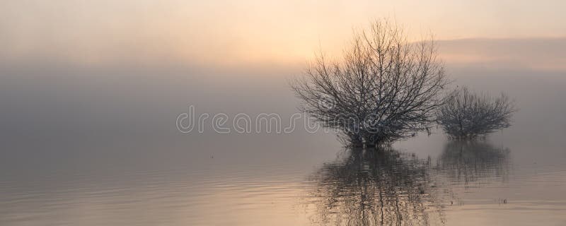 Zonsopgang bij het meer in mist stock afbeelding Zonsopgang bij het meer in mist stock afbeelding