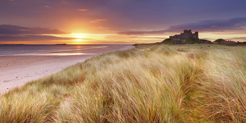 Sunrise over the dunes at Bamburgh, Northumberland, England with the Bamburgh Castle in the background. Sunrise over the dunes at Bamburgh, Northumberland, England with the Bamburgh Castle in the background.