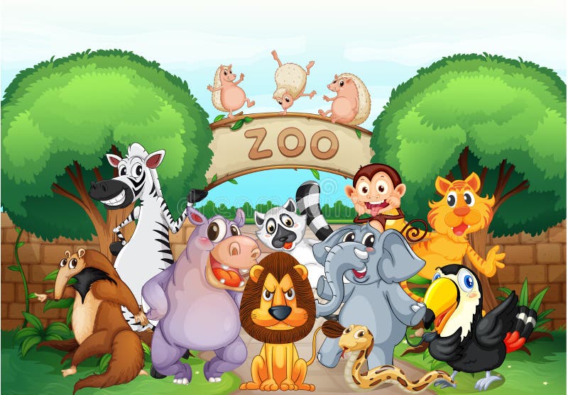 Zoo and animals stock vector. Illustration of drawing - 31338685