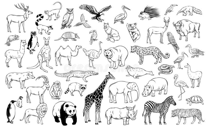 Zoo animals traditional stock vector. Illustration of deer - 176399391 Zoo animals traditional stock vector. Illustration of deer - 176399391