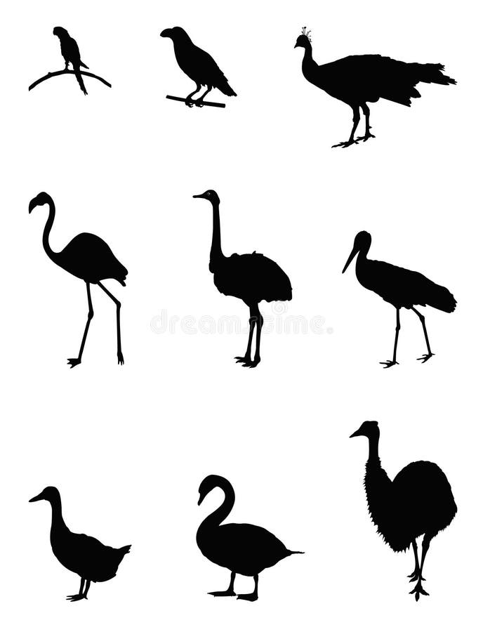 Zoo birds silhouette stock vector. Illustration of file - 86683488