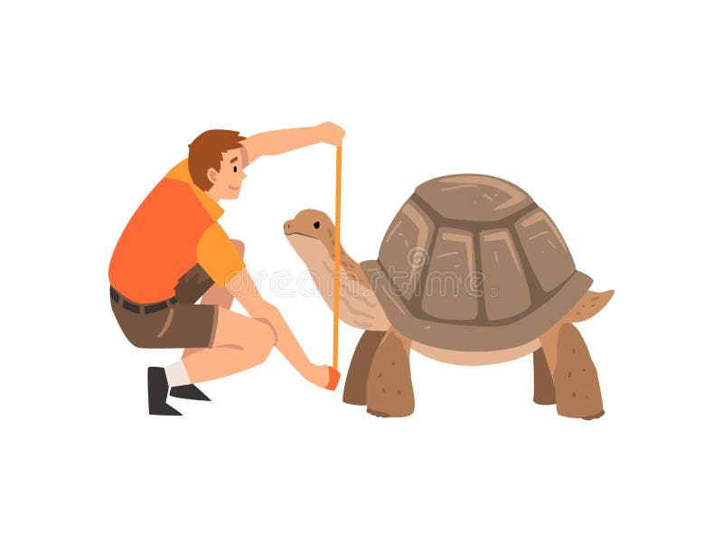 Zooarbetare eller veterinär Examining och mätasköldpadda, yrkesmässig Zookeeper Character Caring av den djura vektorn royaltyfri illustrationer Zooarbetare eller veterinär Examining och mätasköldpadda, yrkesmässig Zookeeper Character Caring av den djura vektorn royaltyfri illustrationer