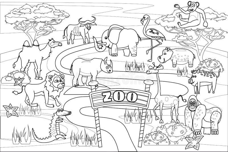Zoológico Selva Safari Animales Para Colorear Libro Ilustración Médica Para  Niños. Conjunto Mono Cocodrilo León Lindo Ilustración del Vector -  Ilustración de cocodrilo, hipoglucemia: 218921730