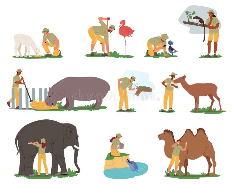 Study Zoologist Stock Illustrations – 146 Study Zoologist Stock  Illustrations, Vectors & Clipart - Dreamstime