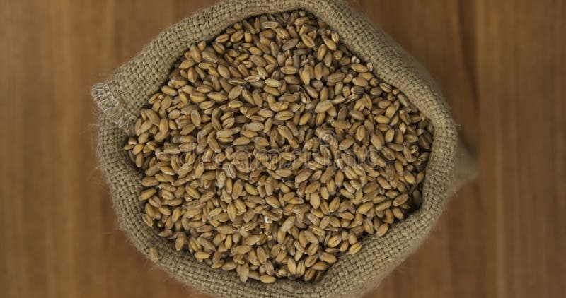 Zoom d'un sac de grain de blé. Vue d'en haut. banque de vidéos