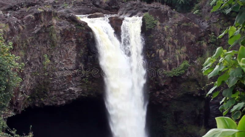 Zoom-heraus tropische Wasserfall-Grün-Vegetation Hawaii