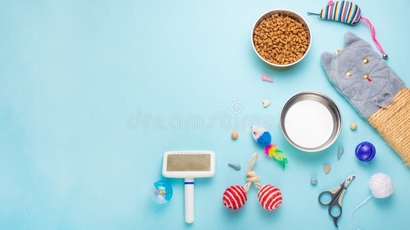 cat accessories store