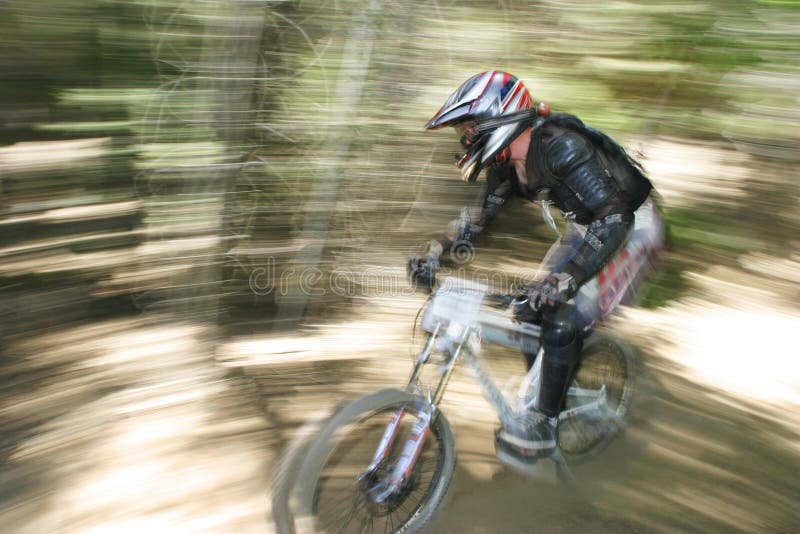 A voar pelas árvores foto de stock