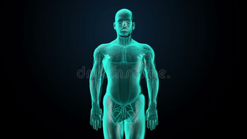 The Hidden Heart Risks of Sleeping in Brightness