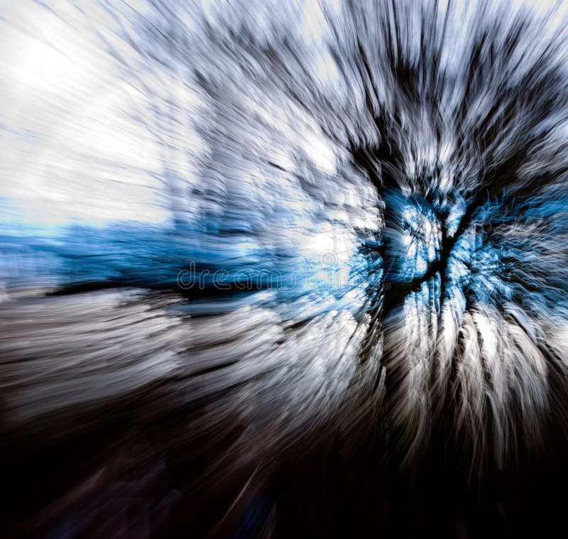 Una foto di alcuni alberi, scattata con una bassa velocità dell'otturatore, mentre cambia la lunghezza focale dell'obiettivo.