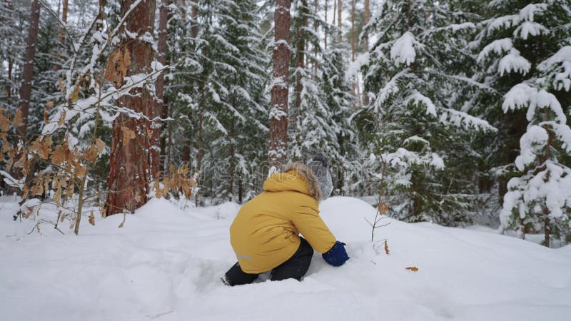 Zorgeloos peuter speelt met sneeuw in het bos in het winterweekend gelukkig en vrolijk klein kind