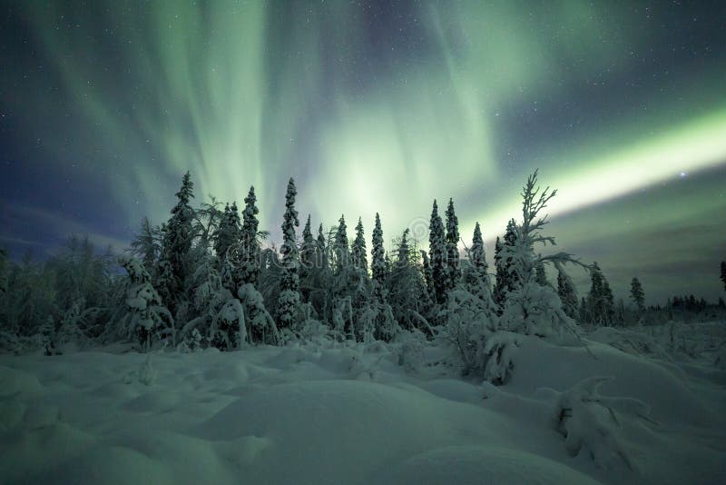 Zorz borealis w Finlandia, Lapland las (Północni światła) obraz stock Zorz borealis w Finlandia, Lapland las (Północni światła) obraz stock