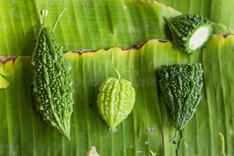 Zucca amara fresca sulla foglia verde della banana nella cucina thailand fotografia stock Zucca amara fresca sulla foglia verde della banana nella cucina thailand fotografia stock
