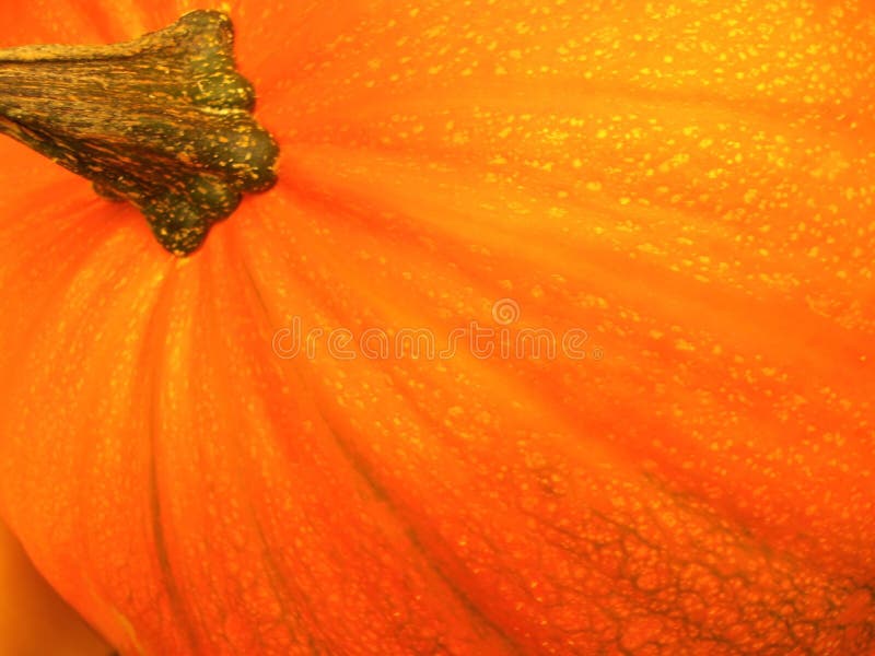 Zucca arancione fotografia stock