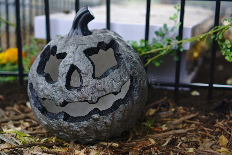 Zucca di Grey Halloween su terra fotografie stock Zucca di Grey Halloween su terra fotografie stock