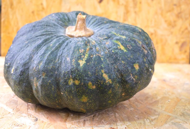Zucca fresca dal giardino immagini stock libere da diritti Zucca fresca dal giardino immagini stock libere da diritti