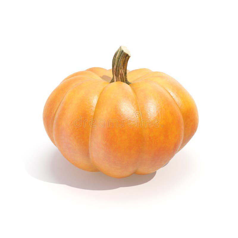 Zucca isolata su bakcground bianco rappresentazione 3d illustrazione di stock Zucca isolata su bakcground bianco rappresentazione 3d illustrazione di stock