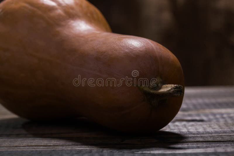 Zucca lunga succosa fotografie stock libere da diritti Zucca lunga succosa fotografie stock libere da diritti