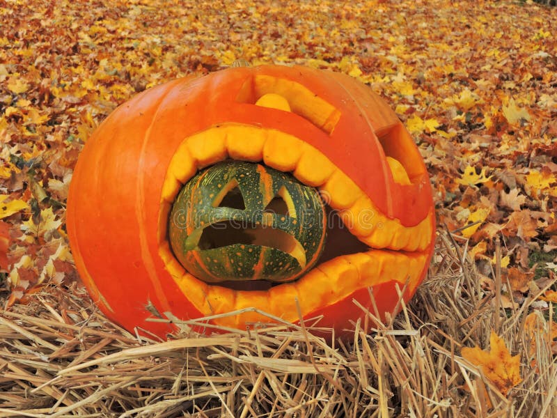 Zucche arancio di Halloween immagine stock Zucche arancio di Halloween immagine stock