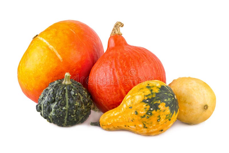 Zucche della zucca assortita variopinta delle zucche varie ornamentali fotografia stock Zucche della zucca assortita variopinta delle zucche varie ornamentali fotografia stock
