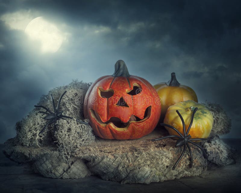 Zucche di Halloween fotografia stock. Immagine di nerezza - 26634116