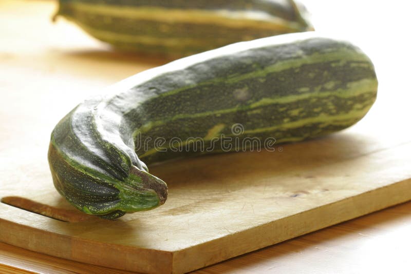 Zucchini