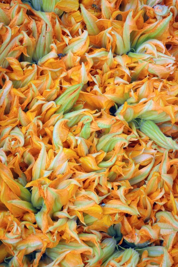 Zucchini Blossoms stock photo. Image of blossoms, pile 6397474