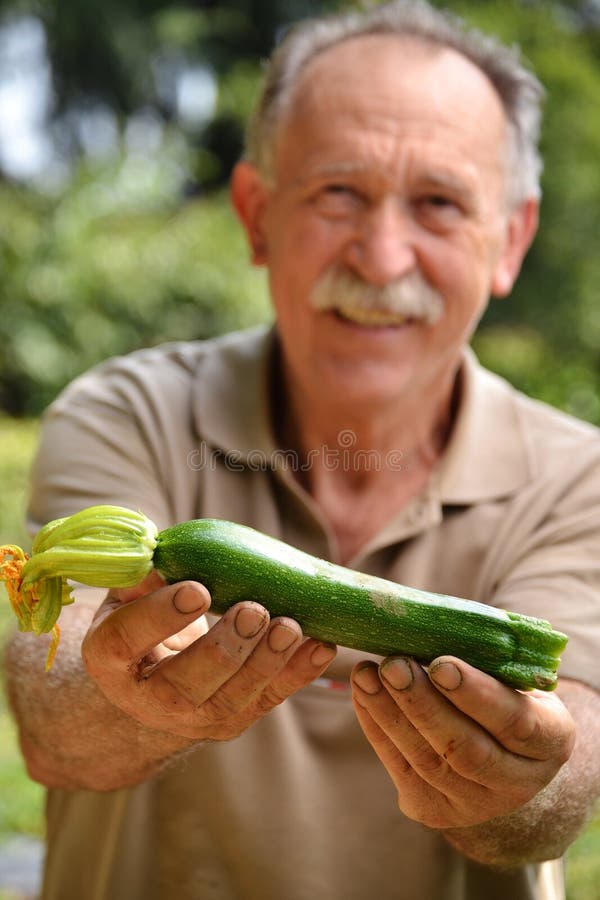 Cultivator Holding Fresh Zucchini Stock Photos Free & RoyaltyFree