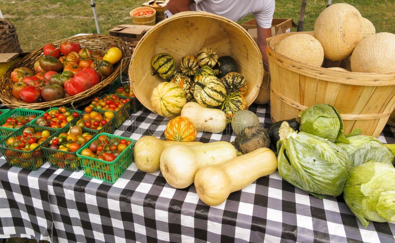 Zucchini