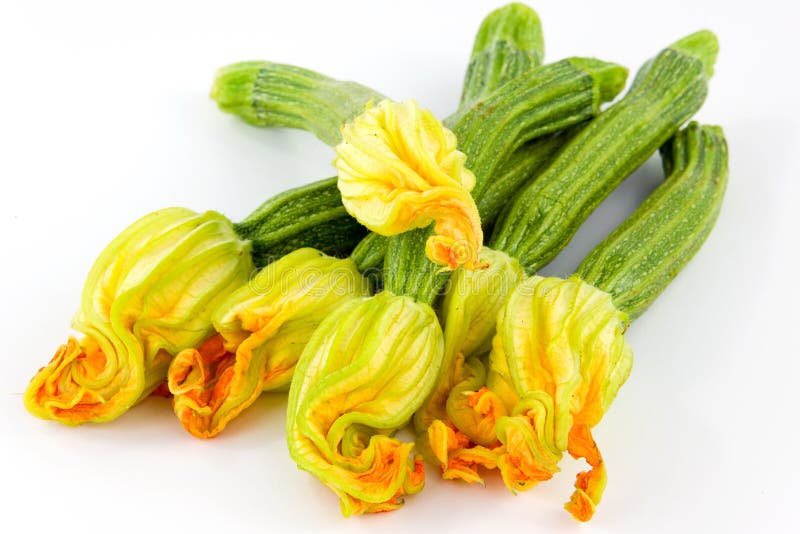 Zucchini Flowers stock image. Image of golden, orange 3752483