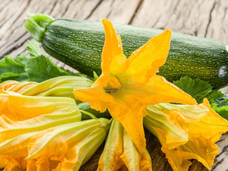 Zucchini flowers. stock photo. Image of food, squash 86405660